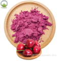 High Quality 100% Natural tart cherry juice powder